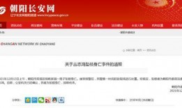 长春朝阳区最新爆料新闻,揭秘某神秘项目进展与影响